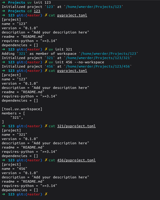 Демонстрация работы флага --no-workspace